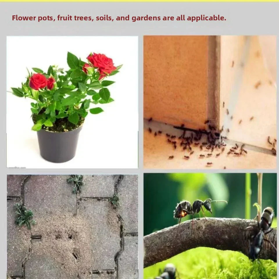 Bed Bug Spray – Fast, Safe & Travel-Ready Protection
