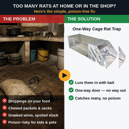 One-Way Entry Multi-Catch Rat Trap – Reusable Steel Cage, No Poison & No Chasing